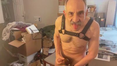 cuirhautbois webcam model stream image