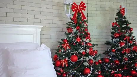 EmillyBronte webcam model stream image