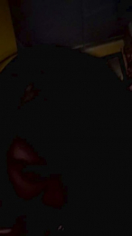 franch_xxx webcam model stream image