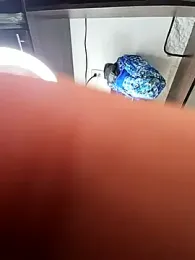 big_pusyy webcam model stream image