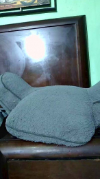 Beibyleon69 webcam cam4 model stream image