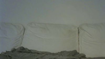 Permi webcam model stream image