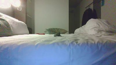 Limoboy88 webcam model stream image