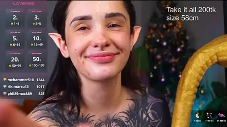 EvaCanton webcam model stream image