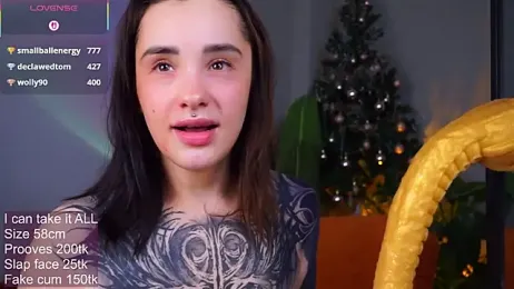 EvaCanton webcam model stream image