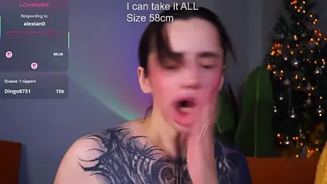 EvaCanton webcam model stream image