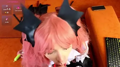 EvaCanton webcam model stream image