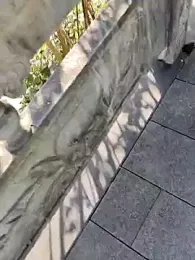 shaoshao-7758 webcam stripchat model stream image