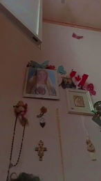 Brutuss webcam model stream image