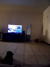 hungpenis210 webcam model stream image