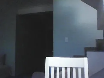 mrbighairychest webcam model stream image