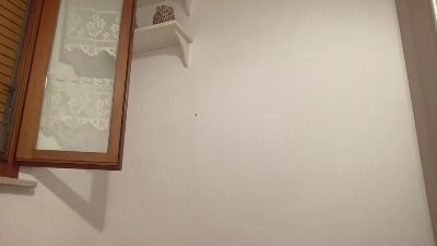 saele001 webcam model stream image