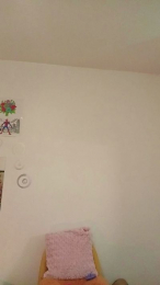 elleblue_sexy webcam model stream image