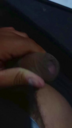 wimox webcam model stream image