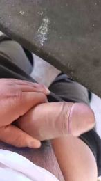 wimox webcam model stream image