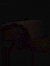 Skylarrain48 webcam model stream image