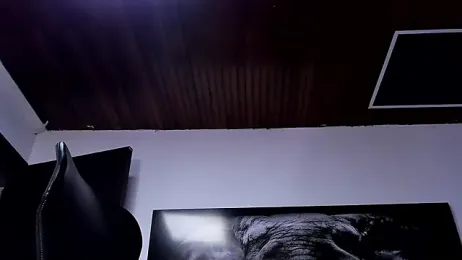 king_falconer webcam model stream image