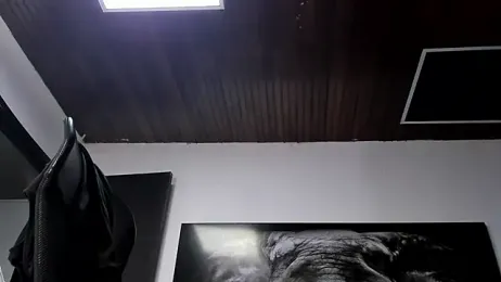 king_falconer webcam model stream image