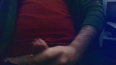 1993_93 webcam model stream image