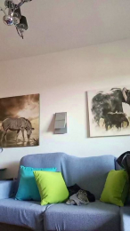 Erikgay47es webcam model stream image