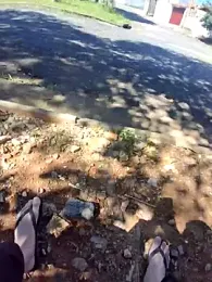 OTaldoSette777 webcam model stream image