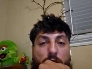 bighornycock8 webcam model stream image