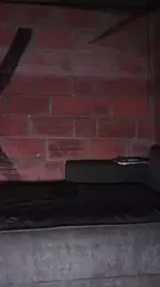 BenedettoMr69 webcam model stream image