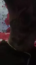 BenedettoMr69 webcam model stream image