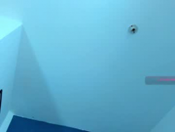 silvabranko webcam model stream image