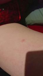 PaRdEDo2 webcam cam4 model stream image