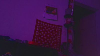 PanicRoom webcam cam4 model stream image