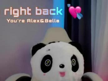 apex_cb webcam model stream image