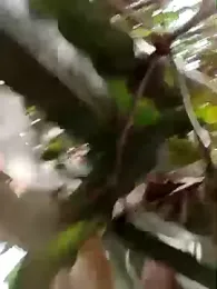 Betty20zx webcam model stream image