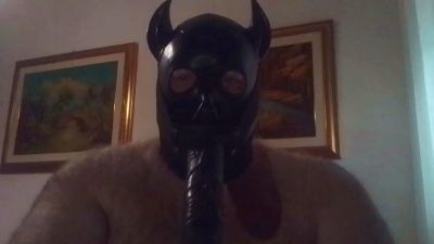 SISSYCARLOTTA webcam model stream image