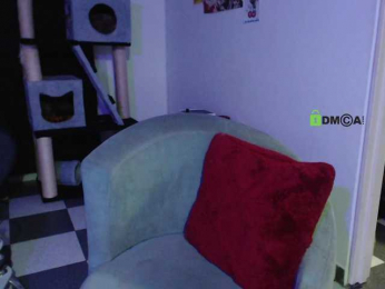 -Shimmer- webcam model stream image