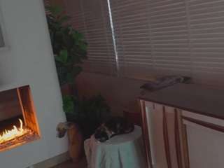 beatrizdoll webcam camsoda model stream image