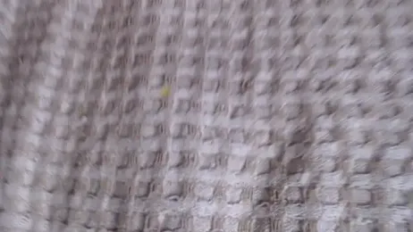 Dreamgirl77777 webcam stripchat model stream image