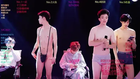 BOYGAYHOUSE1 webcam model stream image