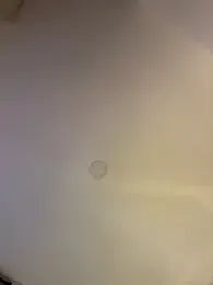 Im_Valentina webcam model stream image