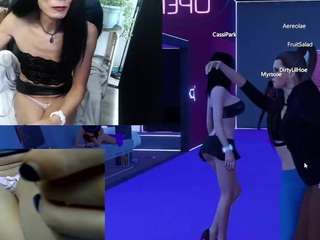 cassip webcam model stream image