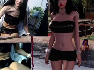 cassip webcam model stream image