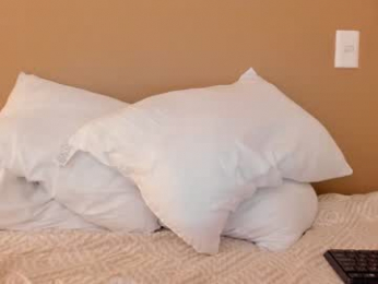 max_steelc webcam model stream image