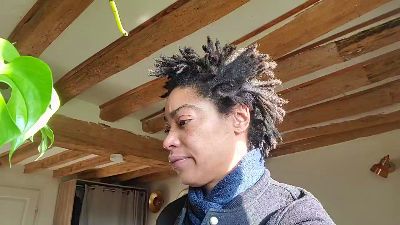 FATISS webcam model stream image