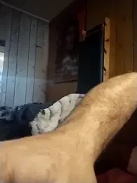 AceticPinscher webcam model stream image