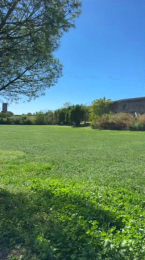 2bfriendz webcam model stream image