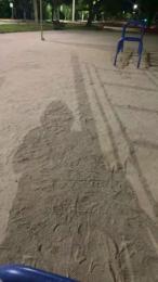 Zayx webcam model stream image