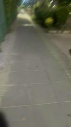 Zayx webcam model stream image