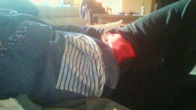 mouette webcam model stream image