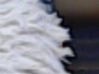 Wearedesires webcam bongacams model stream image