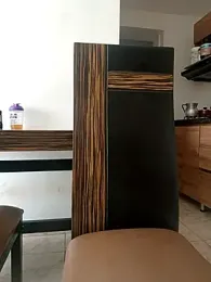 LEIRIS_Y_FRED_01 webcam model stream image